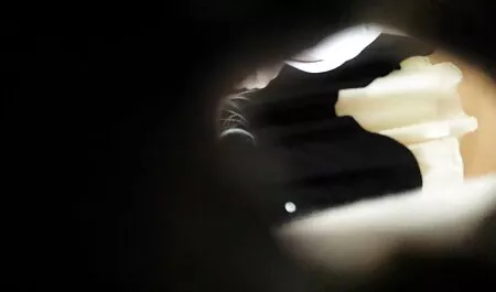 Pornostar nonne troie porn Dior per i vicini.