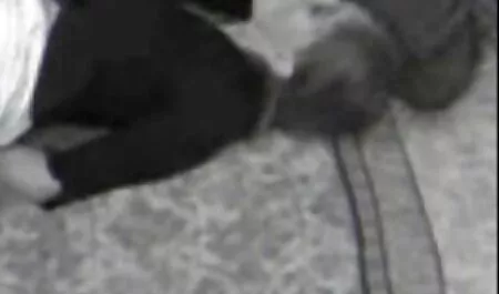 Grazie per nonna vecchia porno avermi aiutato a sistemare la macchina.