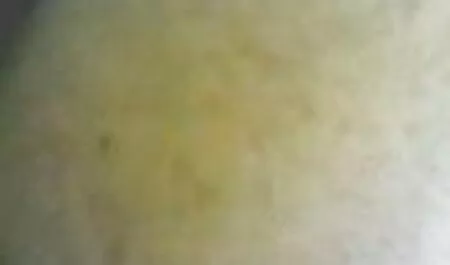 Le ragazze hanno dovuto scusarsi e succhiare il cazzo di un nonne doppia penetrazione amico.